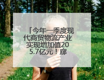 今年一季度现代商贸物流产业实现增加值205.7亿元！廊坊加快构建链接京津冀面向全世界的物流通道